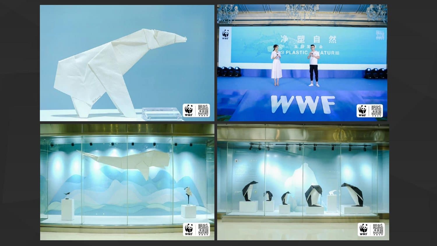 WWF Public Exhibition from Liu Tong artist profile.